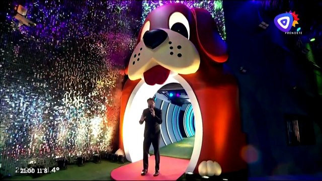 Canales del interior pierden señal con eltrece Satelital (04/08/2025)