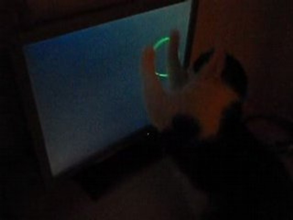 Chaton screensaver