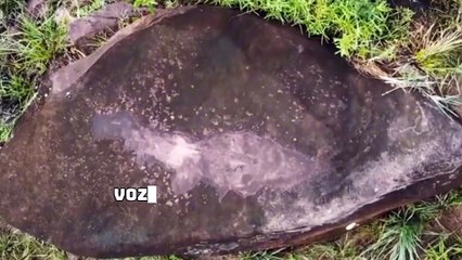 "Kueka: Memoria Ancestral” triunfa en el Festival Internacional de Cine del Chocó 2025