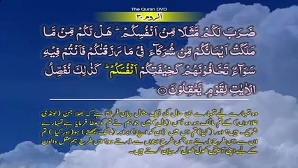 "Surah-30 Ar-Rum Ayat No 28 – 40 Ruku No-4 Word by word learning Quran in video in 4K"