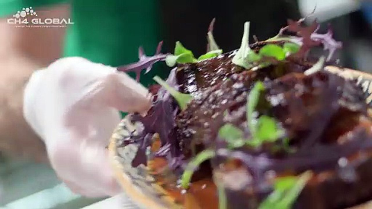 Taste of succulent low-methane beef from CH4 Global on offer at showcase