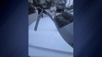 한밤중 아파트서 주차된 차량 11대 파손...40대 검거 / YTN