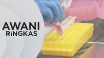 AWANI Ringkas: 96% jangkitan akibat transmisi seksual