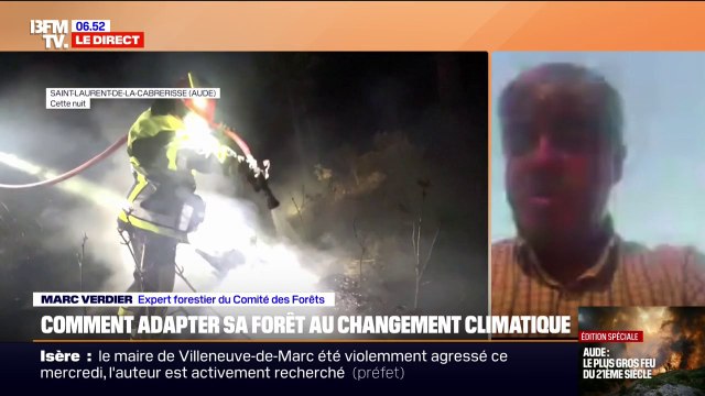Les vignes correspondent (...) à un pare-feu : un expert forestier au Comité des forêts décrypte la propagation de l'incendie dans l'Aude