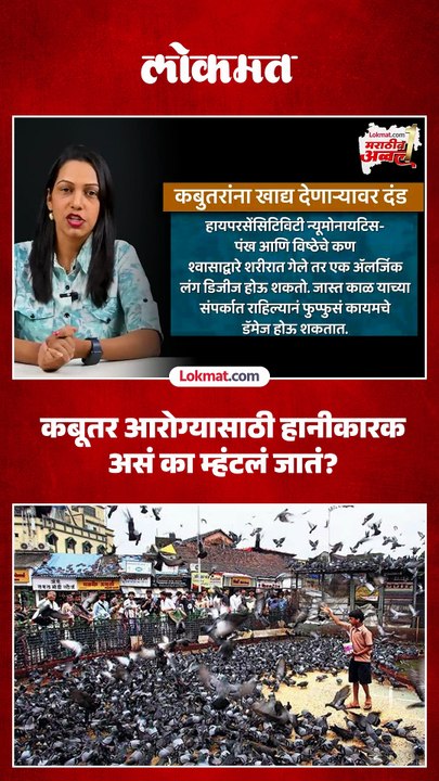 कबूतरांमुळे आरोग्यावर खरंच परिणाम होतो का