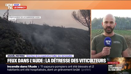 "Tout ce qui est Premier ministre, président... ils sont loin de nos réalités": le directeur de la coopérative Cellier des Demoiselles souhaite des mesures concrètes suite aux dégâts causés par l’incendie dans l’Aude
