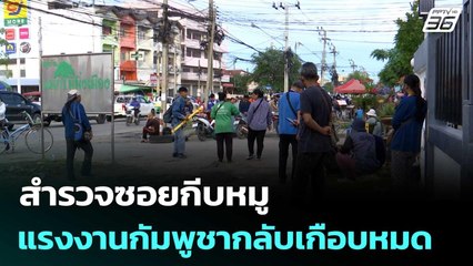สำรวจซอยกีบหมู แรงงานกัมพูชากลับประเทศเกือบหมด | เที่ยงทันข่าว | 7 ส.ค. 68