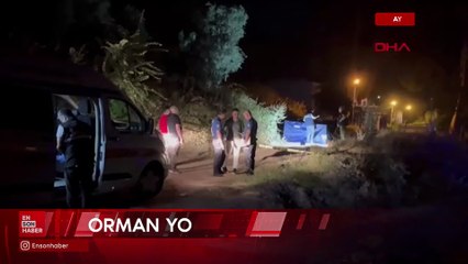 Aydın'da başından vurulmuş halde orman yolunda ölü bulundu