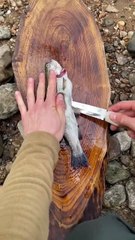 Cooking buttered trout in a casserole fish dish