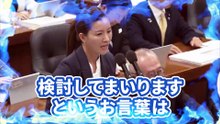 【吉川里奈】夫婦別姓｜太陽光パネル問題｜外国人免許問題【法務委員会】