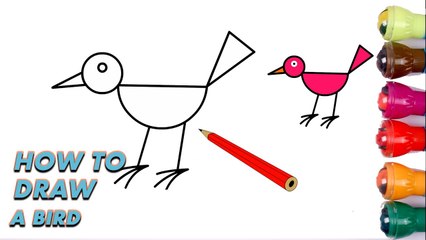 How To Draw and Color a Bird in Easy Steps for Kids