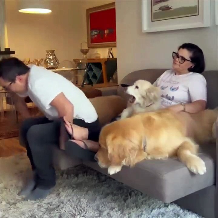 Dad vs mom