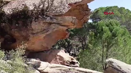 Aydın'da resimlerinin bulunduğu bölge sit alanı ilan edildi