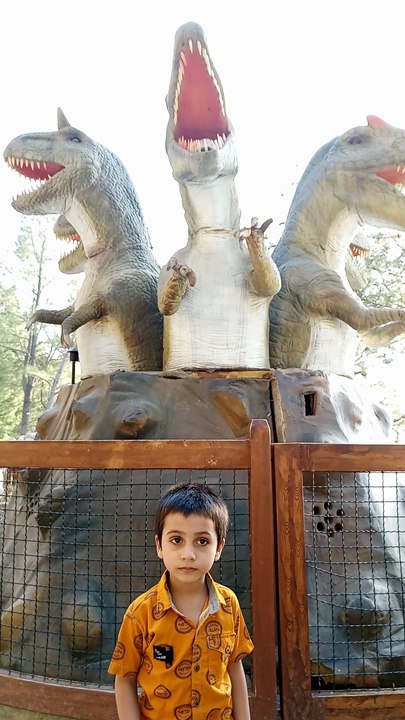 Big Animals