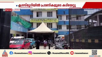 ചേർത്തല പട്ടണക്കാട് സർക്കാർ സ്കൂളിൽ പ്രാണികളുടെ കടിയേറ്റ് വിദ്യാർത്ഥികൾക്ക് അലർജി