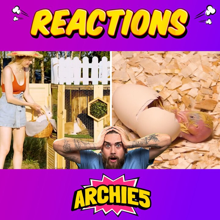 Coolest Animal Crafts That Will Cheer You Up?! 🐾😍 Archie and His Friend REACT to 5-Minute Crafts for Pets!