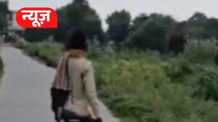 25 कुत्तों की गोली मारकर हत्या