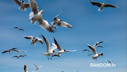 Please like and follow. Thank you.