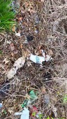 M0208042_Rescuing puppies that have lost their mother rescue animalsoftiktok..._part2