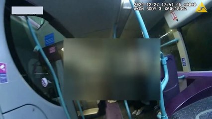 ‘Disgusting’ drunk who sexually assaulted teenage girl, 17, and woman on a bus is jailed