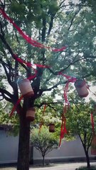 The Hidden Edge of Grace Dramabox CN