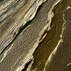 Explore Lola Caracola's Art Collection 🎨