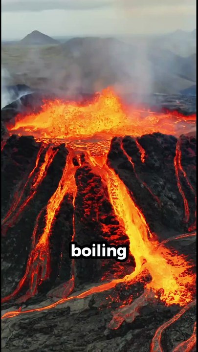 5 Animals With Superpowers #facts #amazingfacts #animals #animalfacts #shorts #funfacts