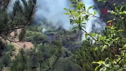 Bolu’da orman yangını