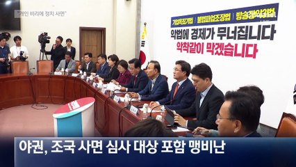 野 “개인 비리에 정치적 사면 이해 못해”