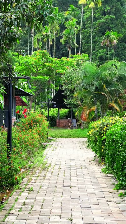 Resorts in Wayanad with activities