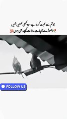 جو تم سے محبت کرتا ہے، وہ تمہیں کبھی اکیلا نہیں چھوڑے گا ❤️
