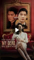 you look like my dead husband chinese drama