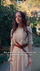 The Alpha’S Breeder