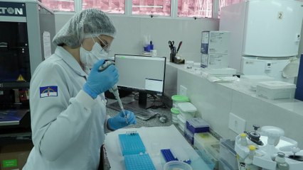 entenda como funcionam as investigações de desaparecidos: o papel da delegacia e da genética no rastreamento