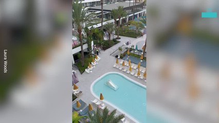 Crazy Sunbed Wars in Tenerife