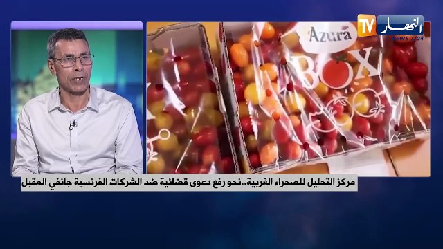 البوليساريو ترد على المغرب.. مستعدون للتفاوض تحت راية الأمم المتحدة دون شروط مسبقة