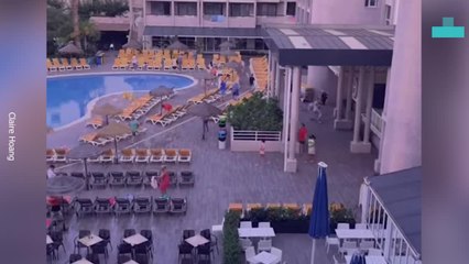 Sunbed Sprint Madness