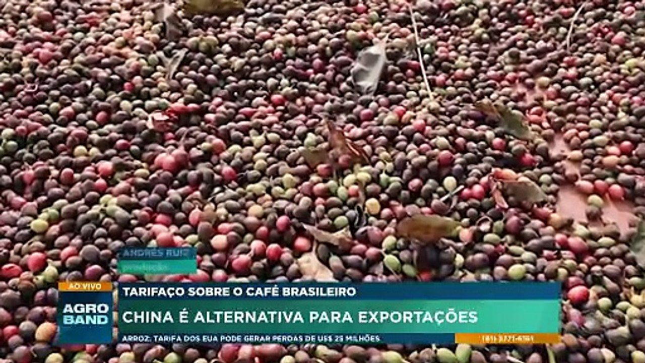 China autorização a exportação de café brasileiro para 183 empresas