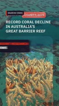 Australia’s Great Barrier Reef suffers record coral decline following mass bleaching