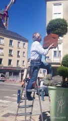 Un apiculteur est intervenu pour déloger les abeilles.