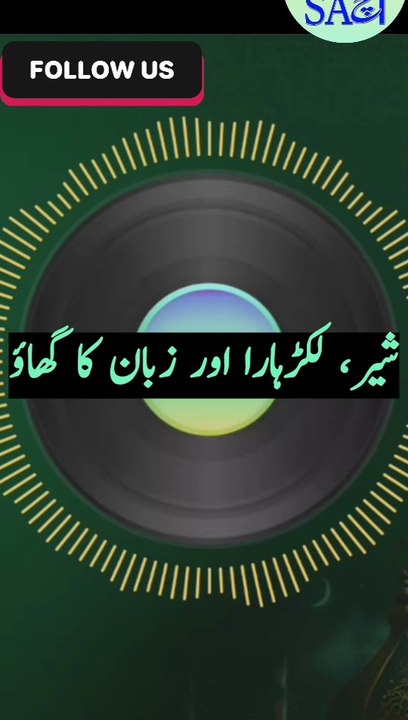 شیر، لکڑہارا اور زبان کا گھاؤ#ZubanKaZakhm #DostiKaImtehan #DilKoChuJaneWaliKahani #EmotionalStory #HeartTouching #UrduStory #ShortMoralStory #ShairAurLakarhara #WordsCanHurt #ViralVideo #DailyMotionViral #StoryTime