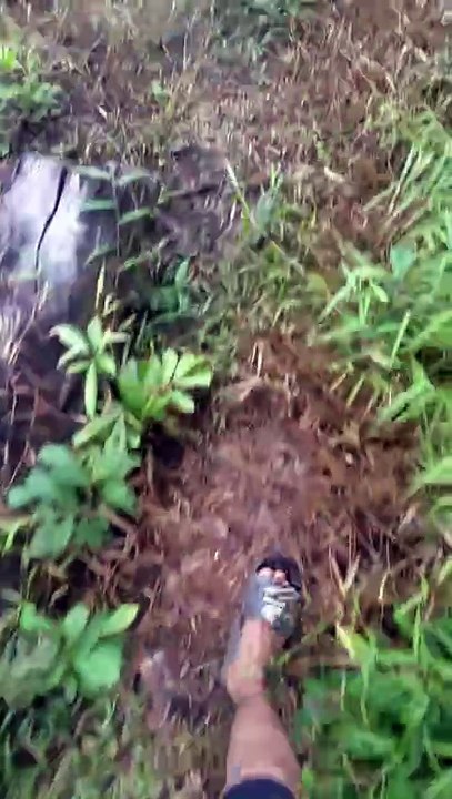VID-20250730-WA0004