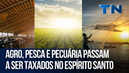 Agro, pesca e pecuária passam a ser taxados no Espírito Santo