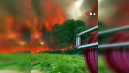 1949'dan bu yana çıkan en büyük orman yangınıyla mücadele sürüyor