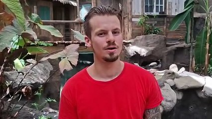 Antonin Savoi, un des soigneur des varans à queue bleue