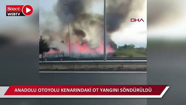 Anadolu Otoyolu kenarındaki ot yangını söndürüldü