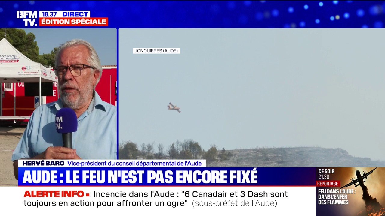 Incendie dans l'Aude: "La quasi-totalité de la récolte est anéantie", confie Hervé Bard, vice-président du conseil départemental de l'Aude