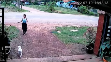 Luckiest People Ever Caught on Camera