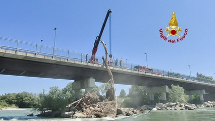 Verona, rimosse le piante incastrate sotto il ponte Rumor (07.08.25)