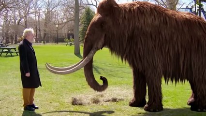 Buzul Çağı Kurtları Geri Döndü - Bilim Tarihinde Çığır Açan Gelişme!